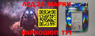 ешки Краснознаменск