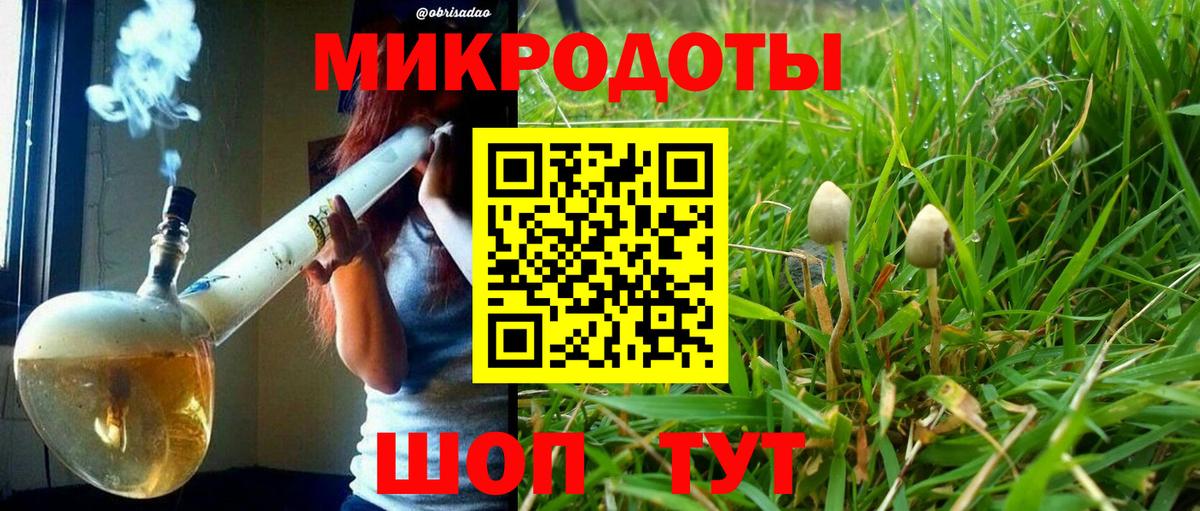 Псилоцибиновые грибы мухоморы Донской